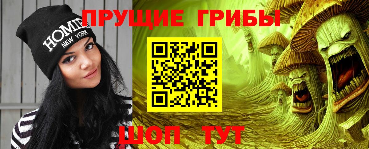 Галлюциногенные грибы Magic Shrooms Карталы