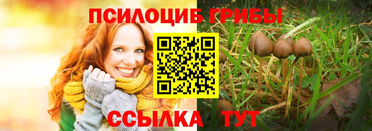наркошоп  Псилоцибиновые грибы MAGIC MUSHROOMS  Вход с VPN  Карталы 